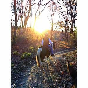 Meet your Posher, Dorothy